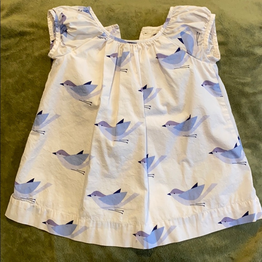 Gap bird print dress with diaper cover